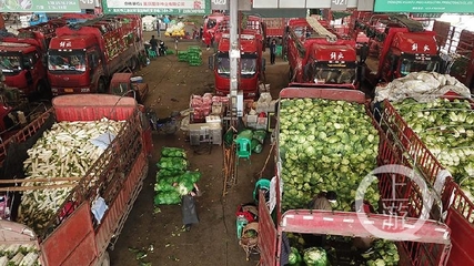 主城最大菜籃子 每天5000噸蔬菜保障市民餐桌