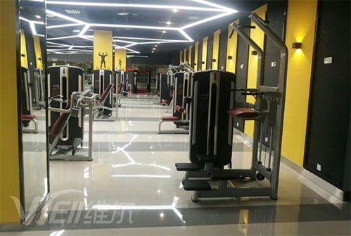 重慶體育用品廠 重慶體育用品 維爾健身器材